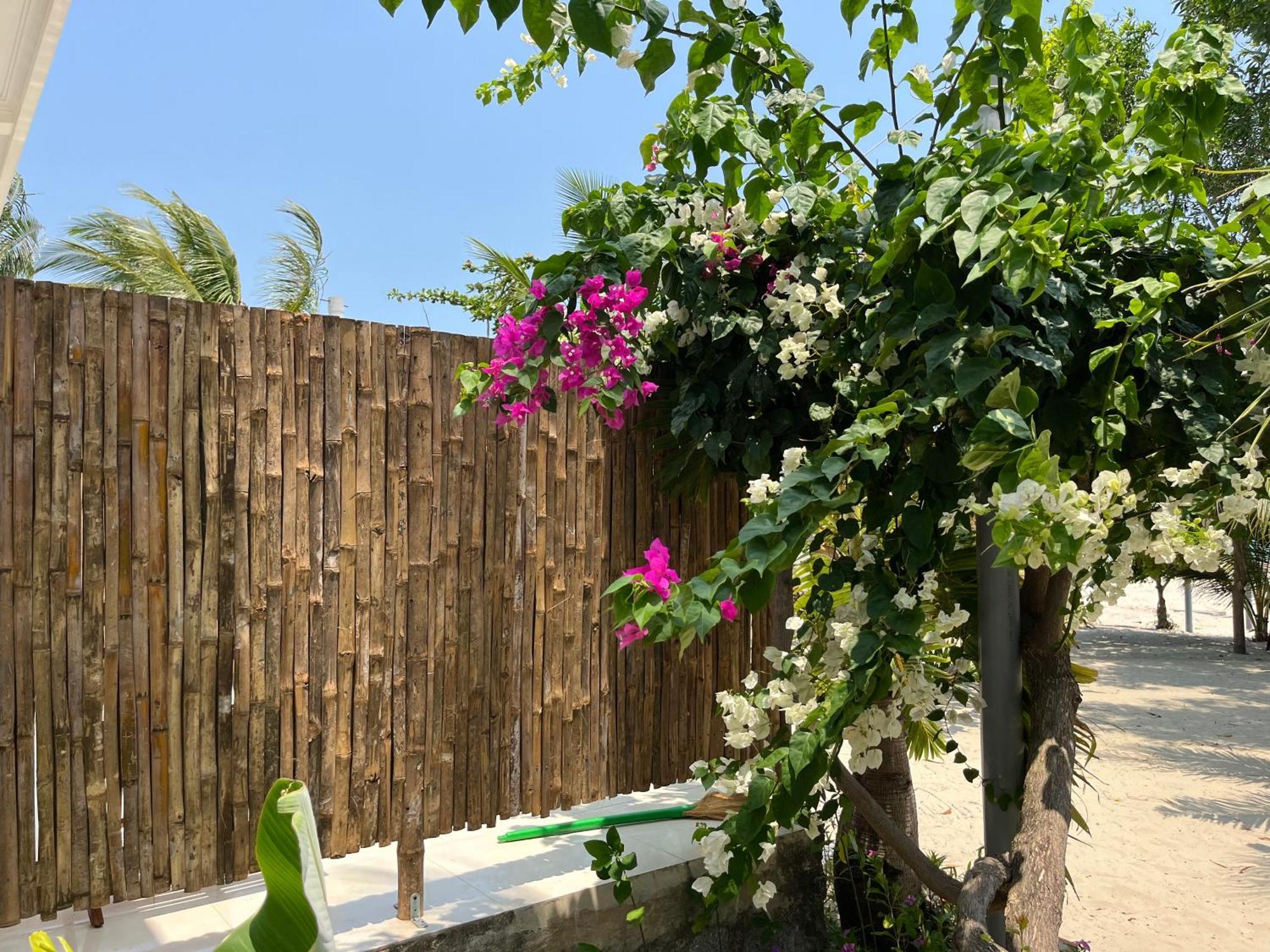 Robinson Beach Bungalow Vinh Hoa ภายนอก รูปภาพ